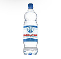 Вода минеральная ПАВЛОДАРСКАЯ газ/негаз 1 л